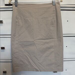 Classic Tan Women's Skirt